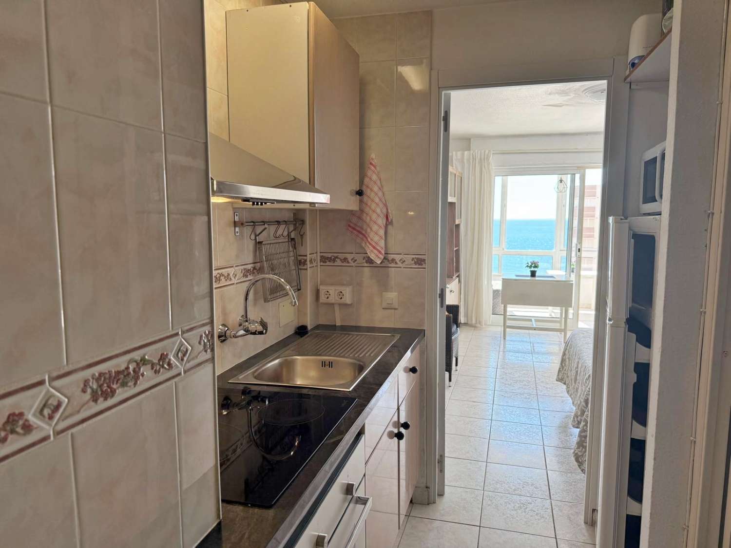 Studio with wondefull sea views in Los Boliches