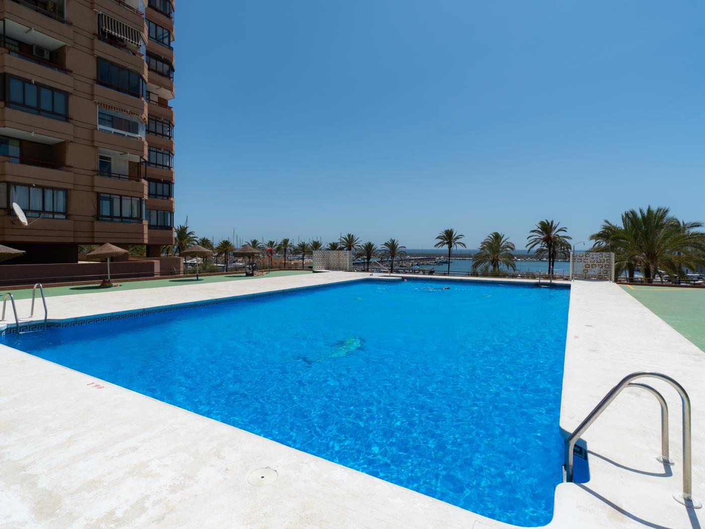 Charming studio apartment located in Las Palmeras complex