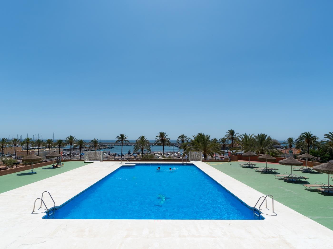 Charming studio apartment located in Las Palmeras complex