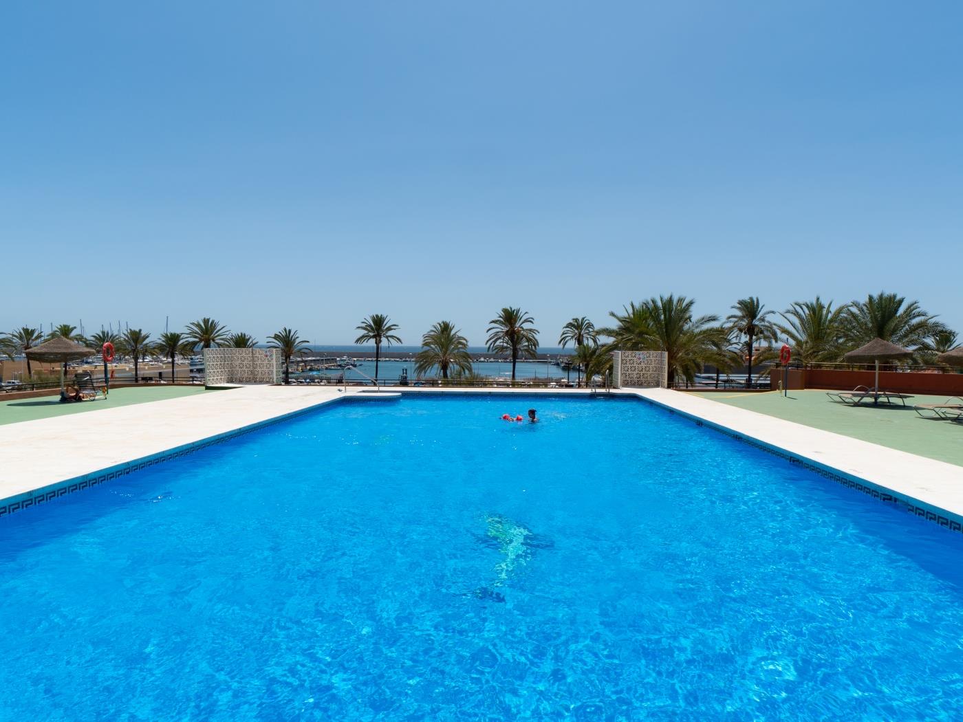 Charming Studio  located in  Las Palmeras complex, on the beachfront